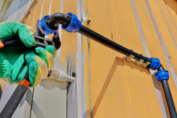 Best Pipe Repair Near Me  in Carrollton, MO