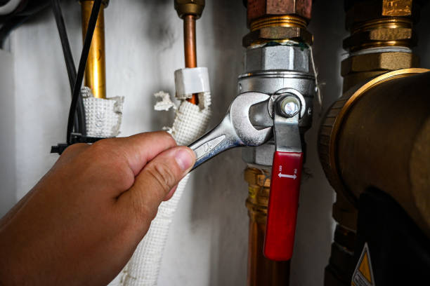 Best Affordable Plumbing Services  in Carrollton, MO